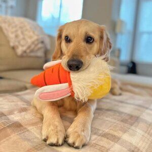 NWT Midlee Easter Bunny Gnome Interactive Dog Toy